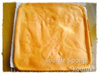 �X�t�����[�����n