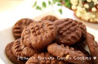 �s�[�i�b�c�R�R�A�N�b�L�[