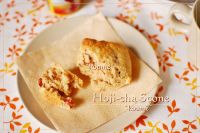 ���[�Y���X�R�[��