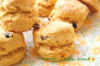 �j���W�������X�R�[��